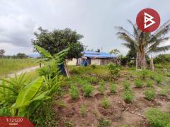 ขายที่ดิน เนื้อที่ 1 งาน 2 ตร.วา ศรีราชา ชลบุรี-202509071035421757216142672.jpg