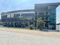 ขายที่ดินผังเหลือง 1-0-0.4 ไร่ ใกล้โรงเรียนวารีเชียงใหม่-202509071103421757217822304.jpg