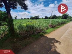 ขายที่ดิน เนื้อที่ 3 ไร่ 67 ตร.วา หนองเรือ ขอนแก่น-202509071201541757221314727.jpg