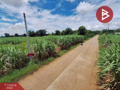 ขายที่ดิน เนื้อที่ 3 ไร่ 67 ตร.วา หนองเรือ ขอนแก่น-202509071201551757221315581.jpg