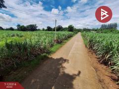 ขายที่ดิน เนื้อที่ 3 ไร่ 67 ตร.วา หนองเรือ ขอนแก่น-202509071201561757221316114.jpg