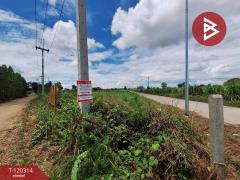 ขายที่ดิน เนื้อที่ 3 ไร่ 67 ตร.วา หนองเรือ ขอนแก่น-202509071201571757221317179.jpg