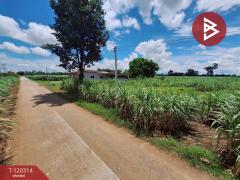 ขายที่ดิน เนื้อที่ 3 ไร่ 67 ตร.วา หนองเรือ ขอนแก่น-202509071201571757221317711.jpg