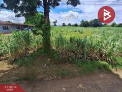 ขายที่ดิน เนื้อที่ 3 ไร่ 67 ตร.วา หนองเรือ ขอนแก่น-202509071201581757221318245.jpg