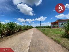 ขายที่ดิน เนื้อที่ 3 ไร่ 67 ตร.วา หนองเรือ ขอนแก่น-202509071201591757221319319.jpg