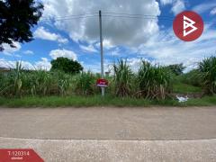 ขายที่ดิน เนื้อที่ 3 ไร่ 67 ตร.วา หนองเรือ ขอนแก่น-202509071202001757221320596.jpg