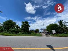 ขายที่ดิน เนื้อที่ 3 ไร่ 67 ตร.วา หนองเรือ ขอนแก่น-202509071202011757221321127.jpg