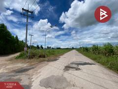 ขายที่ดิน เนื้อที่ 3 ไร่ 67 ตร.วา หนองเรือ ขอนแก่น-202509071202011757221321657.jpg