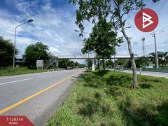 ขายที่ดิน เนื้อที่ 3 ไร่ 67 ตร.วา หนองเรือ ขอนแก่น-202509071202021757221322184.jpg