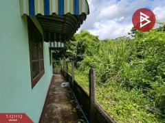 ขายบ้านเดี่ยว เนื้อที่ 54 ตร.วา ท่าช้าง จันทบุรี-202509071204401757221480285.jpg