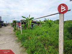 ขายที่ดิน เนื้อที่ 31.9 ตร.วา กระทุ่มแบน สมุทรสาคร-202509071251051757224265680.jpg