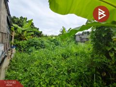 ขายที่ดิน เนื้อที่ 31.9 ตร.วา กระทุ่มแบน สมุทรสาคร-202509071251061757224266201.jpg