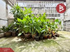 ขายทาวน์เฮ้าส์ หมู่บ้านบางบัวทอง บางรักพัฒนา นนทบุรี-202509071302211757224941908.jpg