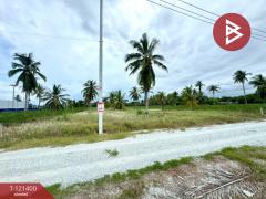 ขายที่ดิน เนื้อที่ 2 ไร่ ศรีราชา ชลบุรี-202509071307331757225253234.jpg