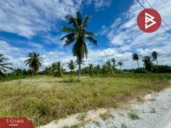 ขายที่ดิน เนื้อที่ 2 ไร่ ศรีราชา ชลบุรี-202509071307331757225253872.jpg