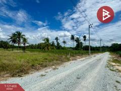 ขายที่ดิน เนื้อที่ 2 ไร่ ศรีราชา ชลบุรี-202509071307371757225257184.jpg