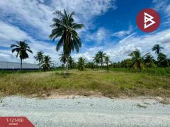 ขายที่ดิน เนื้อที่ 2 ไร่ ศรีราชา ชลบุรี-202509071307371757225257738.jpg