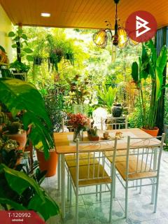 ขายบ้านเดียว หมู่บ้านมีสุข1 (Baan Meesuk1) พานทอง ชลบุรี-202509071343571757227437212.jpg