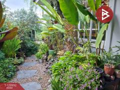 ขายบ้านเดียว หมู่บ้านมีสุข1 (Baan Meesuk1) พานทอง ชลบุรี-202509071343581757227438270.jpg