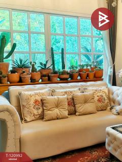 ขายบ้านเดียว หมู่บ้านมีสุข1 (Baan Meesuk1) พานทอง ชลบุรี-202509071344001757227440397.jpg