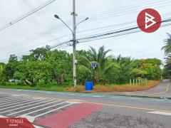 ขายบ้านเดี่ยวพร้อมที่ดิน เนื้อที่ 2 ไร่ 56.1 ตร.วา อัมพวา สมุทรสงคราม-202509071533181757233998739.jpg