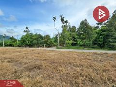 ขายที่ดินแปลงสวย เนื้อที่ 14 ไร่ 13.9 ตารางวา เมืองระยอง วิวเขายายดา ใกล้สุขุมวิท-202509071557201757235440423.jpg