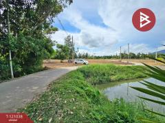 ขายที่ดินแปลงสวย เนื้อที่ 14 ไร่ 13.9 ตารางวา เมืองระยอง วิวเขายายดา ใกล้สุขุมวิท-202509071557221757235442094.jpg