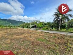 ขายที่ดินแปลงสวย เนื้อที่ 14 ไร่ 13.9 ตารางวา เมืองระยอง วิวเขายายดา ใกล้สุขุมวิท-202509071557221757235442636.jpg