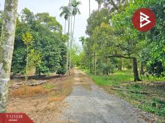 ขายที่ดินแปลงสวย เนื้อที่ 14 ไร่ 13.9 ตารางวา เมืองระยอง วิวเขายายดา ใกล้สุขุมวิท-202509071557241757235444265.jpg