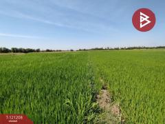 ขายที่ดิน เนื้อที่ 3 งาน คลองหลวง ปทุมธานี