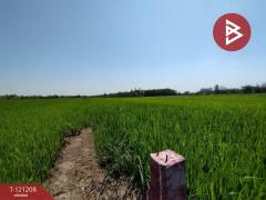 ขายที่ดิน เนื้อที่ 3 งาน คลองหลวง ปทุมธานี-202509071605531757235953145.jpg