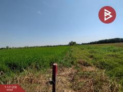 ขายที่ดิน เนื้อที่ 3 งาน คลองหลวง ปทุมธานี-202509071605531757235953971.jpg