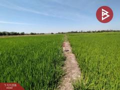 ขายที่ดิน เนื้อที่ 3 งาน คลองหลวง ปทุมธานี-202509071605541757235954481.jpg