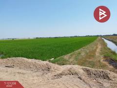 ขายที่ดิน เนื้อที่ 3 งาน คลองหลวง ปทุมธานี-202509071605551757235955005.jpg