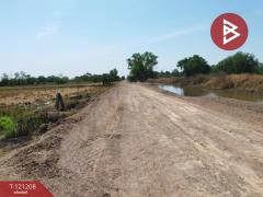 ขายที่ดิน เนื้อที่ 3 งาน คลองหลวง ปทุมธานี-202509071605551757235955525.jpg