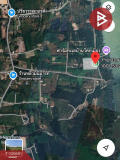 ขายที่ดิน เนื้อที่ 8 ไร่ 1 งาน 55 ตารางวา ควนเนียง สงขลา-202509071619261757236766714.jpg