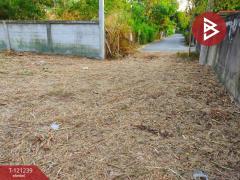 ขายที่ดิน เนื้อที่ 1 งาน 11.9 ตร.วา เสม็ด ชลบุรี-202509071641581757238118797.jpg