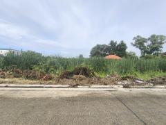 ที่ดินเปล่า 120 ตารางวา ใกล้สนามกอล์ฟธูปะเตมีย์-202509071852161757245936369.jpg