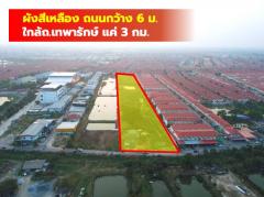 ขายถูก ที่ดิน ซ.ขจรวิทย์ อ.เมืองสมุทรปราการ 10 ไร่ ใกล้ถ.เทพารักษ์ แค่ 3 กม. CC