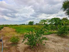 ขายที่ดินเปล่าพร้อมบ้านชั้นเดียว เนื้อที่ 1-3-71.9 ไร่ โฉนดครุฑแดง ต.โพธิ์พระยา อ.เมือง จ.สุพรรณบุรี ติดถนนสาธารณะ