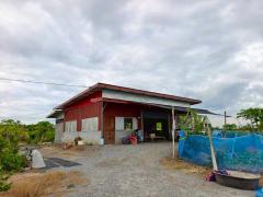 ขายที่ดินเปล่าพร้อมบ้านชั้นเดียว เนื้อที่ 1-3-71.9 ไร่ โฉนดครุฑแดง ต.โพธิ์พระยา อ.เมือง จ.สุพรรณบุรี ติดถนนสาธารณะ-202509081101491757304109281.jpg