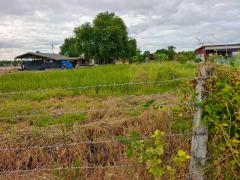 ขายที่ดินเปล่าพร้อมบ้านชั้นเดียว เนื้อที่ 1-3-71.9 ไร่ โฉนดครุฑแดง ต.โพธิ์พระยา อ.เมือง จ.สุพรรณบุรี ติดถนนสาธารณะ-202509081101491757304109817.jpg