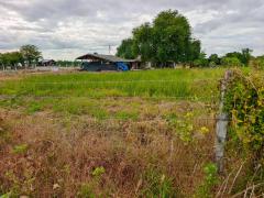 ขายที่ดินเปล่าพร้อมบ้านชั้นเดียว เนื้อที่ 1-3-71.9 ไร่ โฉนดครุฑแดง ต.โพธิ์พระยา อ.เมือง จ.สุพรรณบุรี ติดถนนสาธารณะ-202509081101501757304110339.jpg