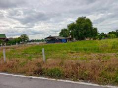 ขายที่ดินเปล่าพร้อมบ้านชั้นเดียว เนื้อที่ 1-3-71.9 ไร่ โฉนดครุฑแดง ต.โพธิ์พระยา อ.เมือง จ.สุพรรณบุรี ติดถนนสาธารณะ-202509081101511757304111900.jpg