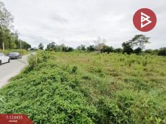 ขายที่ดิน เนื้อที่ 3 ไร่ 19 ตร.วา นาตาขวัญ ระยอง-202509081103001757304180263.jpg