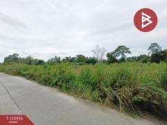 ขายที่ดิน เนื้อที่ 3 ไร่ 19 ตร.วา นาตาขวัญ ระยอง-202509081103001757304180784.jpg