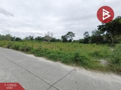 ขายที่ดิน เนื้อที่ 3 ไร่ 19 ตร.วา นาตาขวัญ ระยอง-202509081103011757304181300.jpg