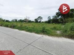 ขายที่ดิน เนื้อที่ 3 ไร่ 19 ตร.วา นาตาขวัญ ระยอง-202509081103011757304181820.jpg