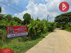 ขายที่ดิน-เนื้อที่-4-ไร่-3-งาน-81.4-ตร.วา-ล