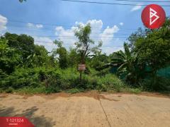 ขายที่ดิน เนื้อที่ 4 ไร่ 3 งาน 81.4 ตร.วา ลาดกระบัง กรุงเทพมหานคร-202509081134291757306069721.jpg